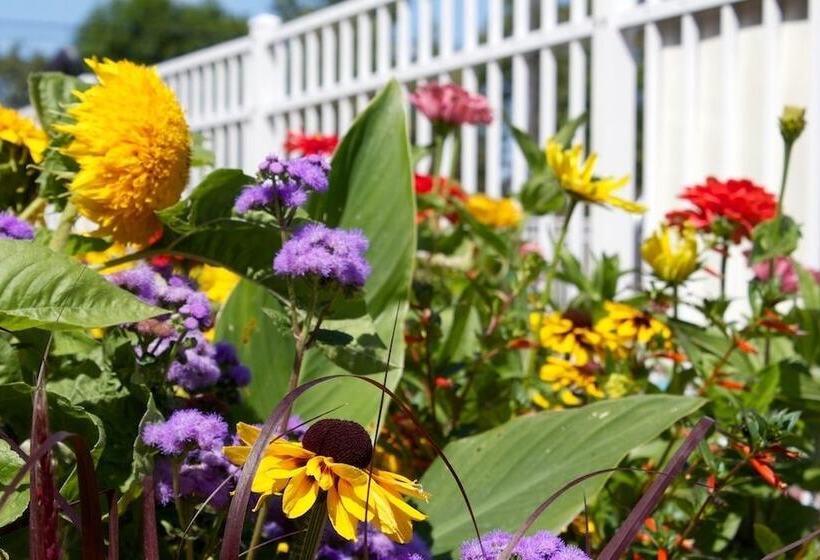 ホテル Bay Breeze Resort