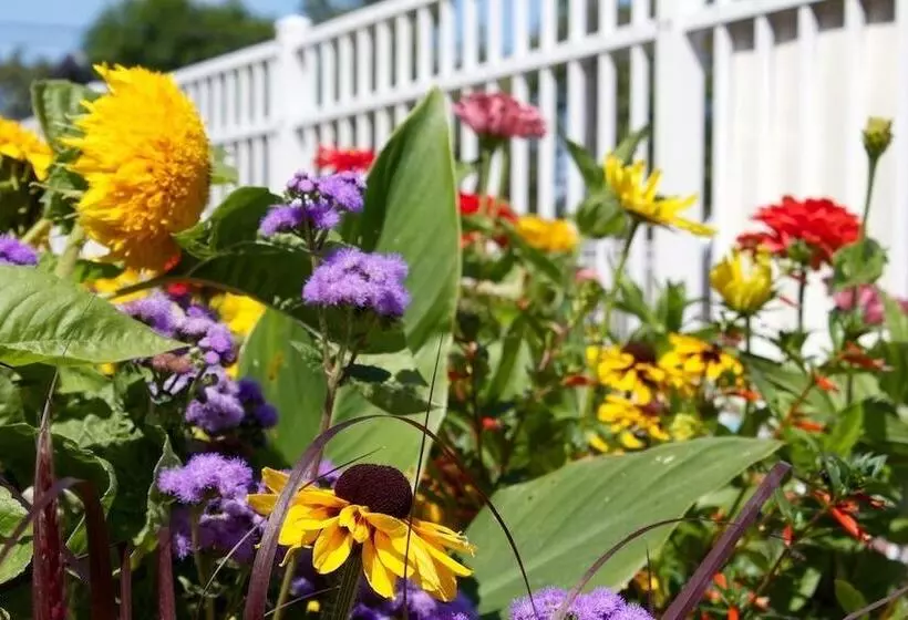 ホテル Bay Breeze Resort