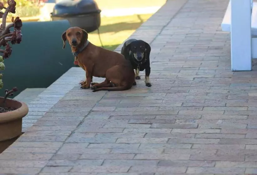 Majatalo 14 Penguin Place, Melkbosstrand