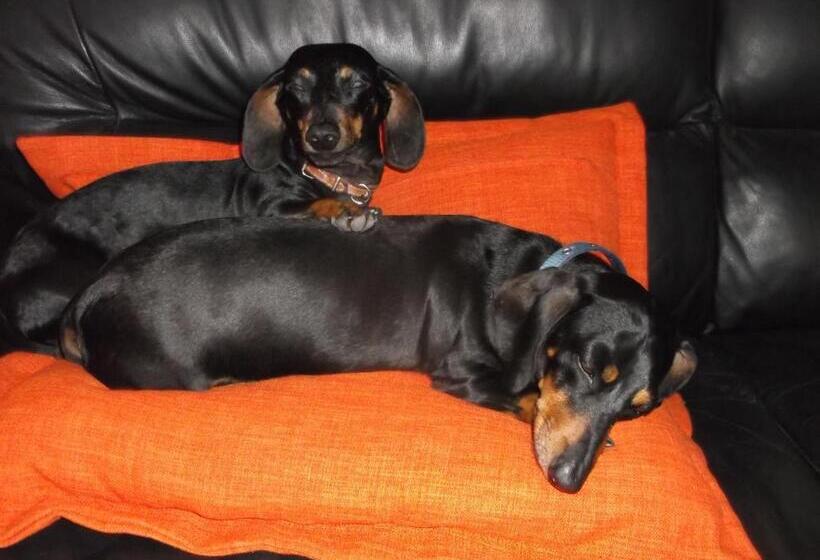 膳宿费 14 Penguin Place, Melkbosstrand