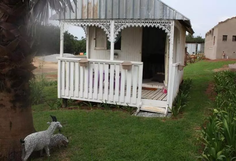 پانسیون Jelani Guest House