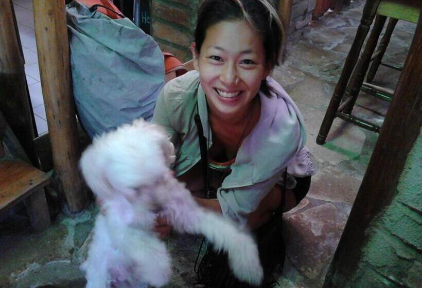 پانسیون Murph's Surf Shacks