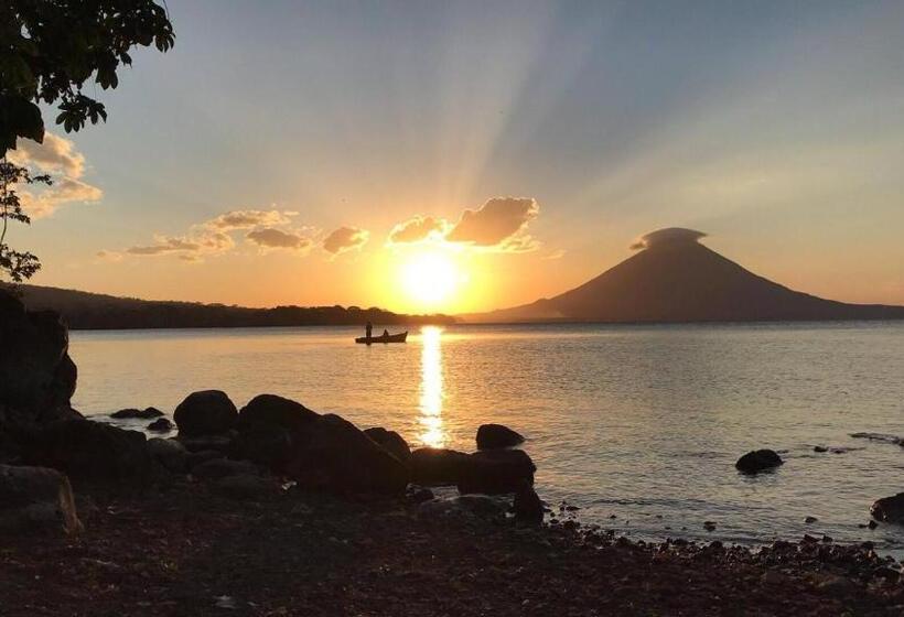 پانسیون Murph's Surf Shacks