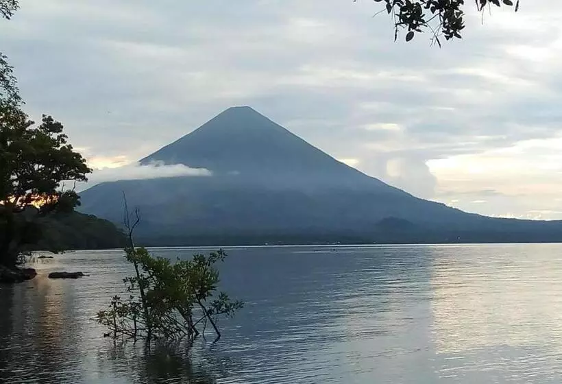 پانسیون Murph's Surf Shacks