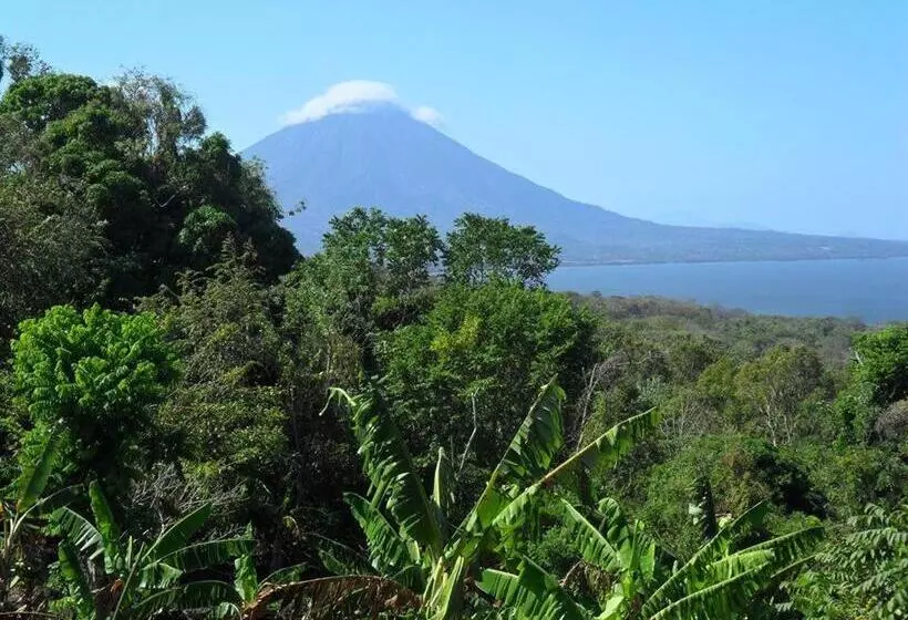 پانسیون Murph's Surf Shacks