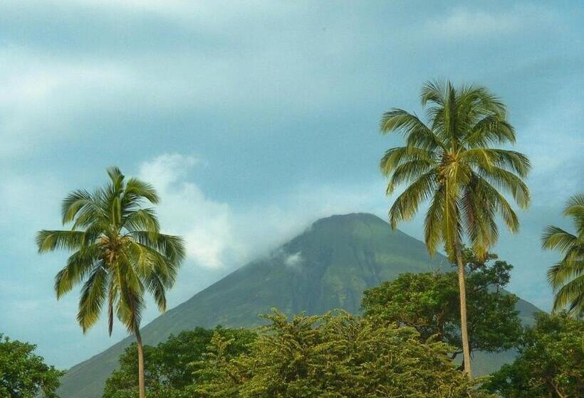 پانسیون Murph's Surf Shacks