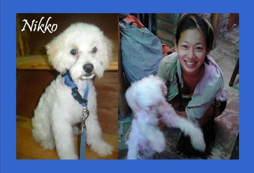 پانسیون Murph's Surf Shacks