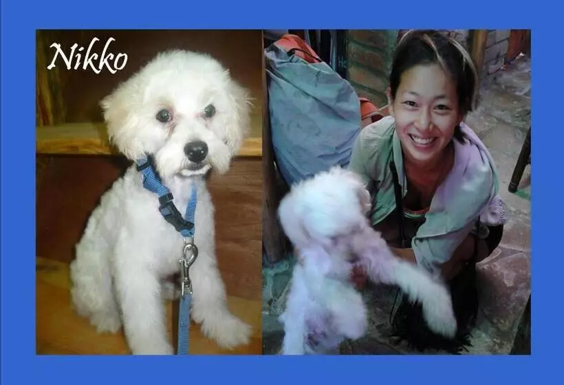 پانسیون Murph's Surf Shacks