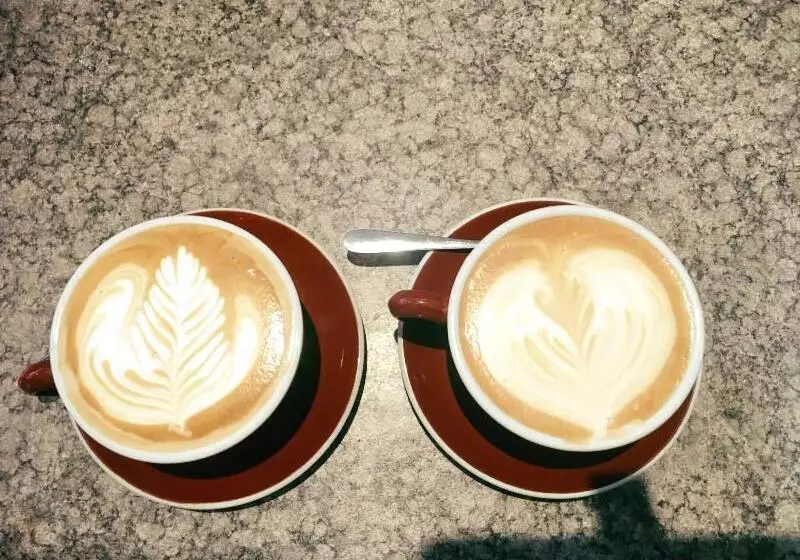 Retkeilymaja Kiwi Paka Waitomo