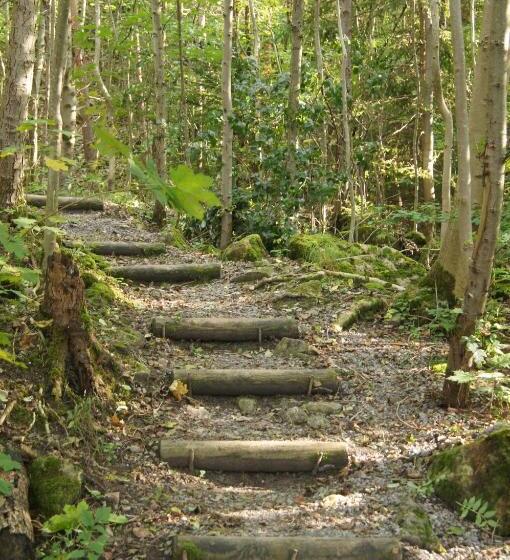 פנסיון Landgasthof Hirschen