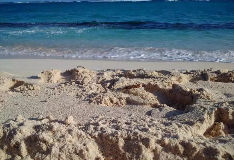 پانسیون Villa Pistaches