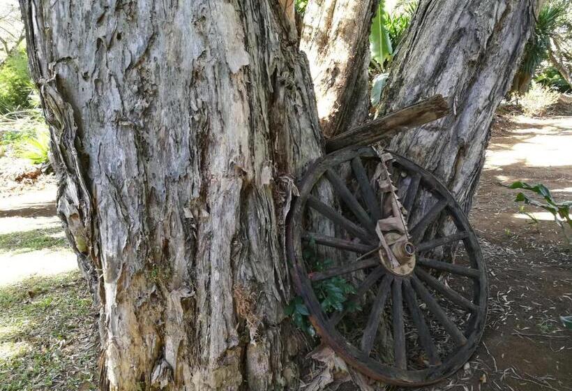 بنسيون Casa Del Cafe Familiar