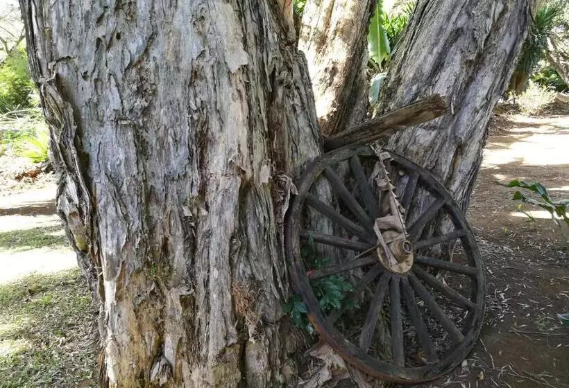 پانسیون Casa Del Cafe Familiar