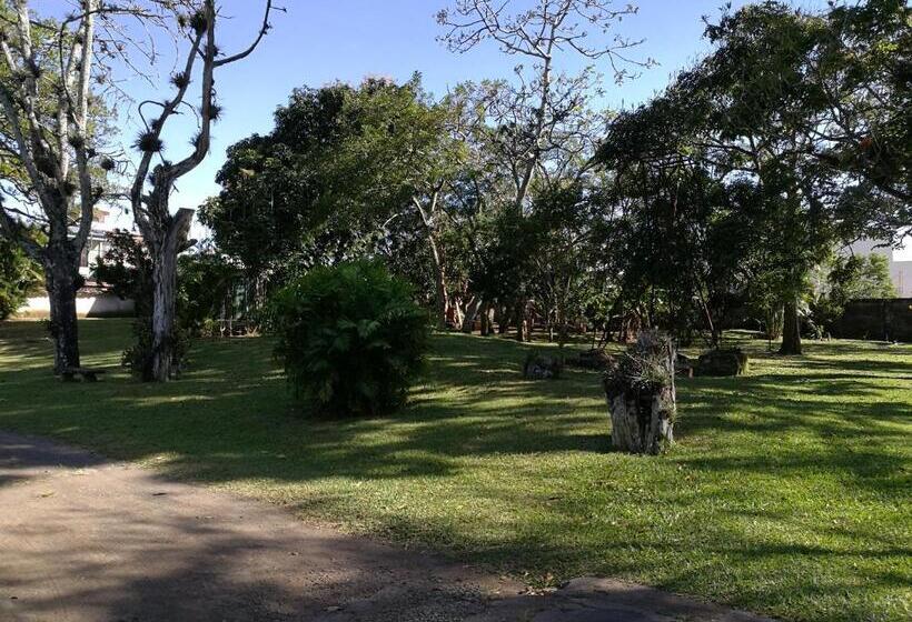 بنسيون Casa Del Cafe Familiar