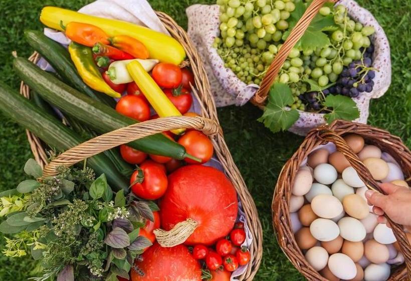 Pensionat Penzion Dvorce