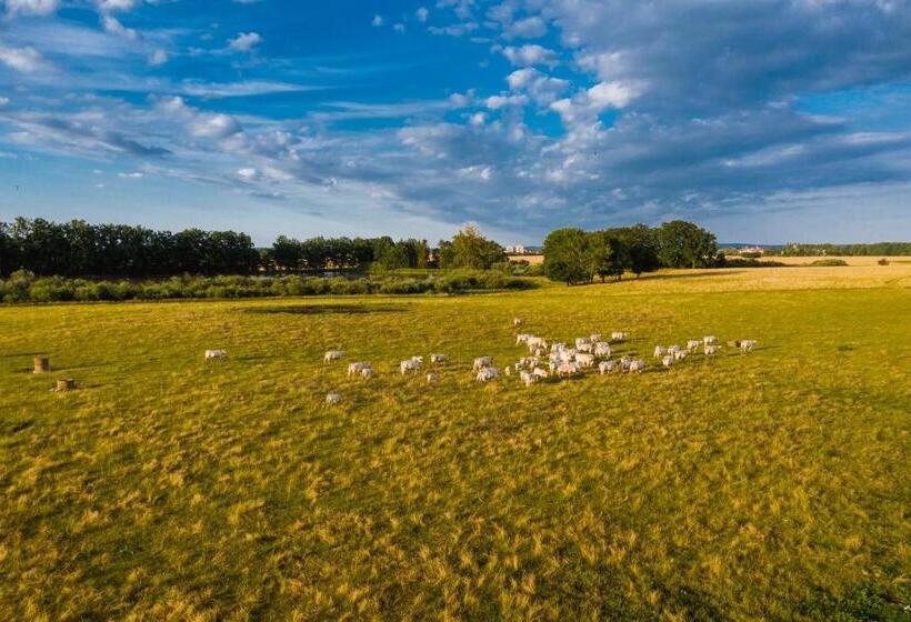 Pensionat Penzion Dvorce