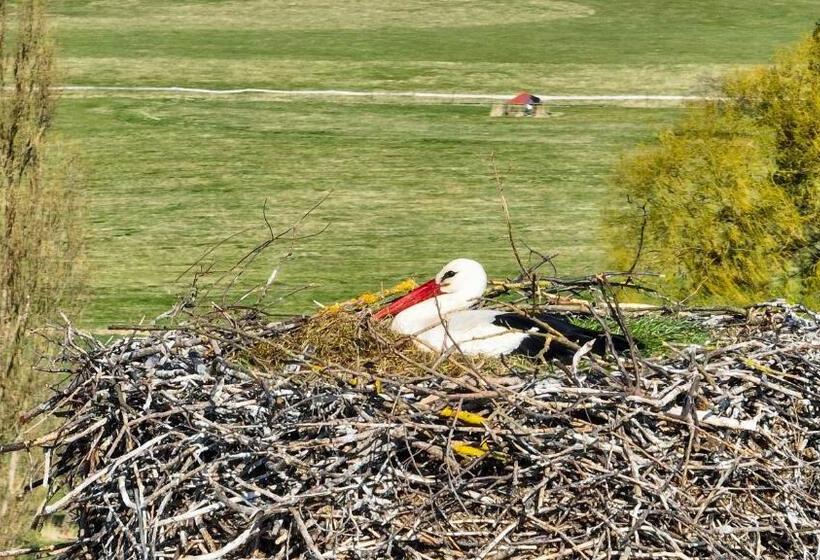 Pensionat Penzion Dvorce