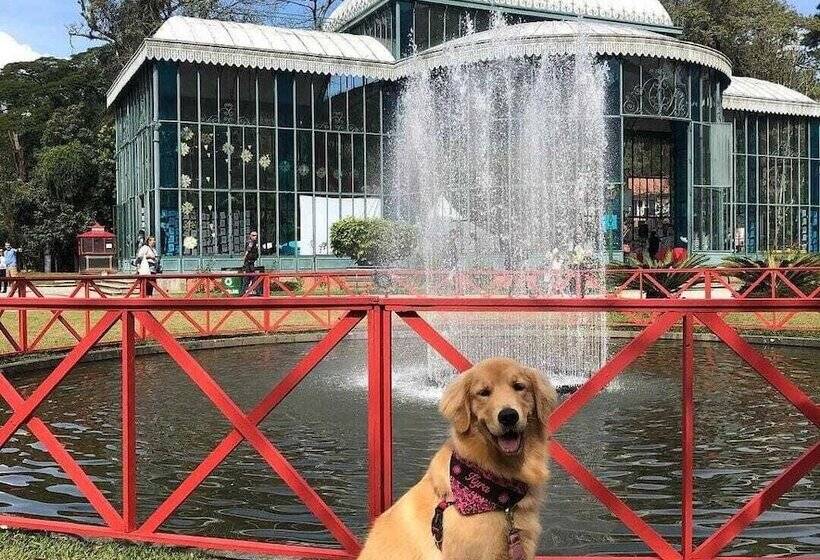 هاستل Pousada Dom Petropolis