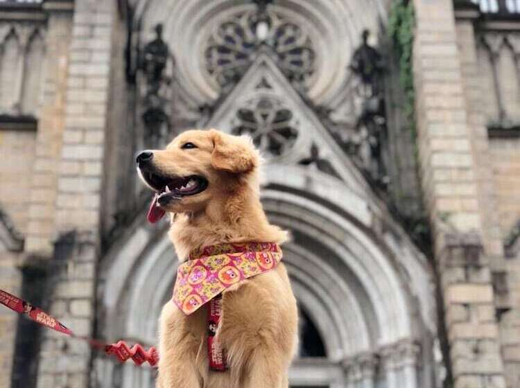 هاستل Pousada Dom Petropolis