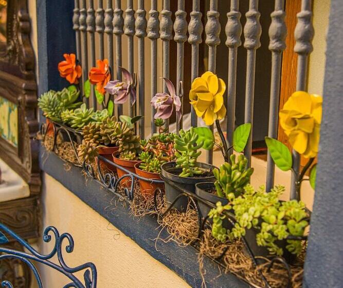 هاستل Pousada Dom Petropolis