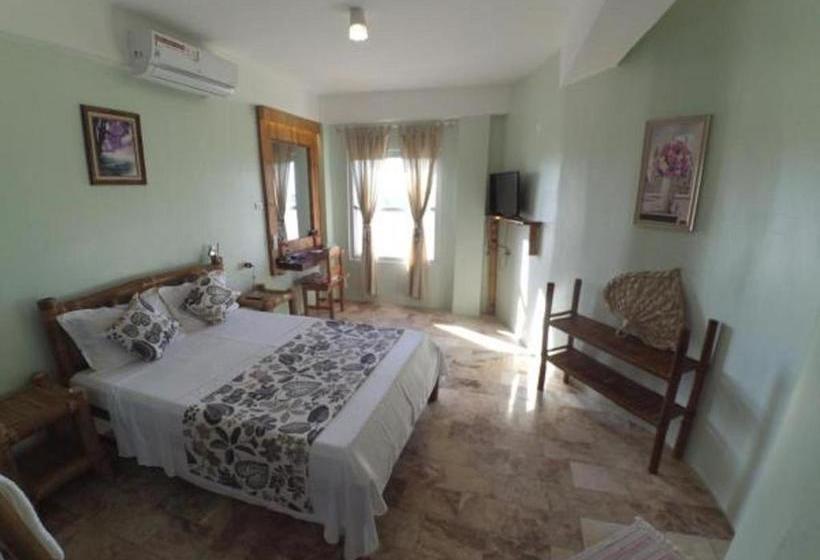 بنسيون Summer Place