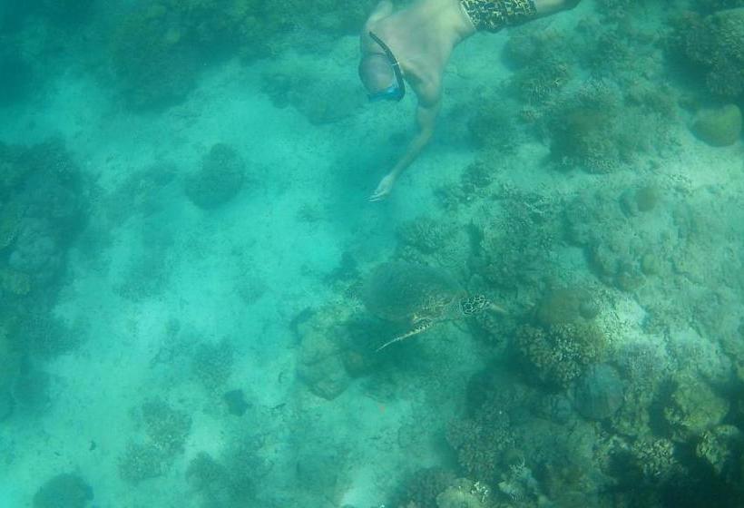 بنسيون Summer Place