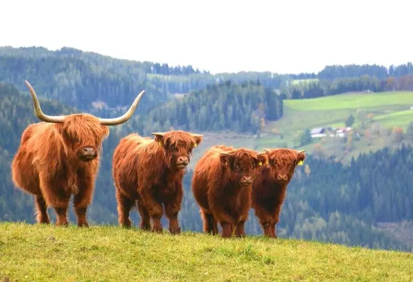 Retkeilymaja Frühstückspension Ochnerbauer