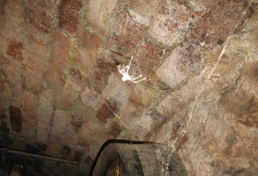 هتل Turistična Kmetija Dervarič