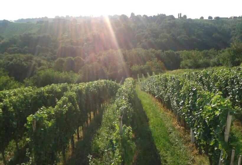 هتل Turistična Kmetija Dervarič