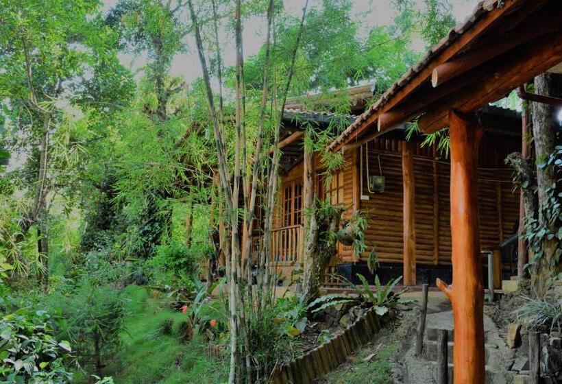 Pensão Little Folly