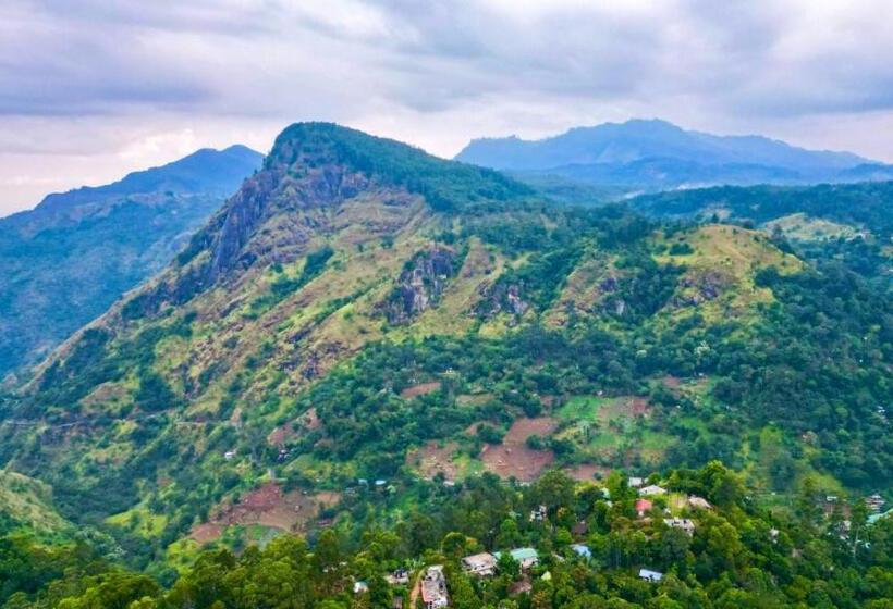 Pensão Little Folly