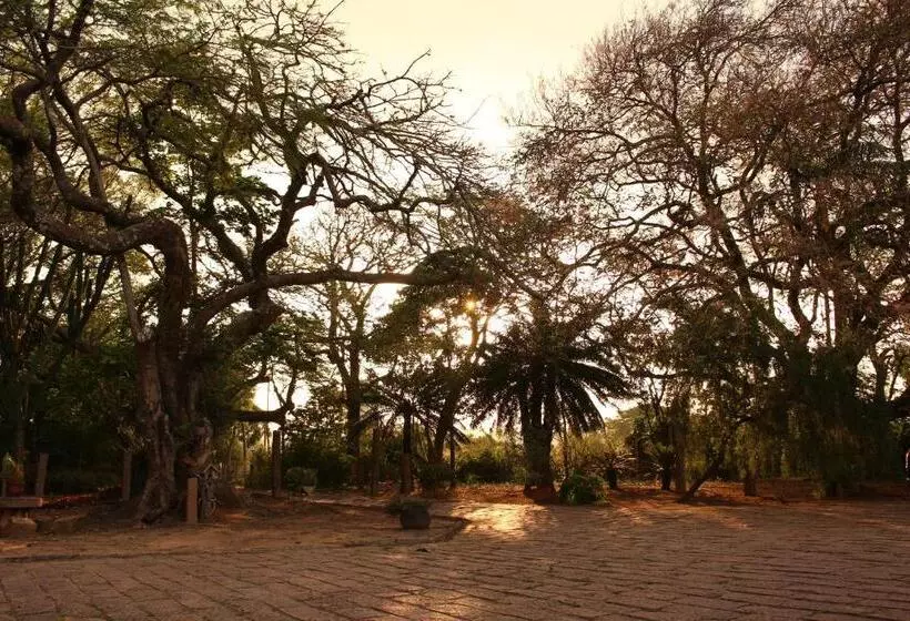 ペンション Pousada Fazenda Sant’ana