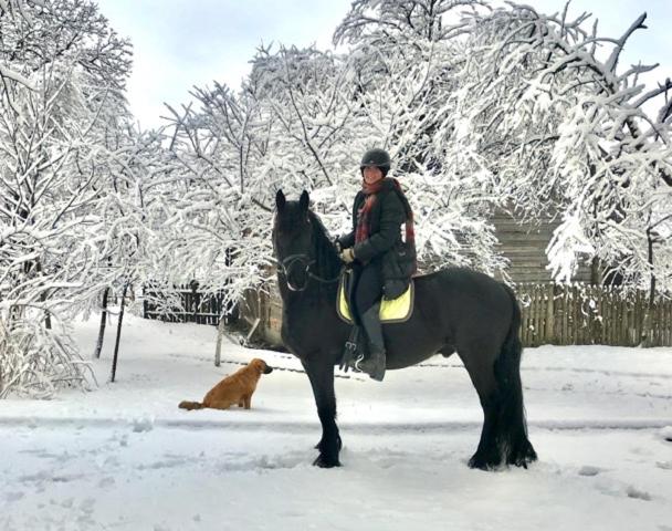 پانسیون Villa Westfalia Guest House