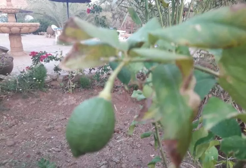 Retkeilymaja D Hôte Jnane Dar Diafa