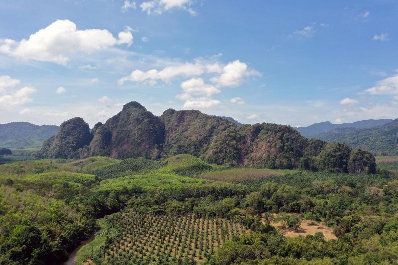Khao Sok River Home Resort