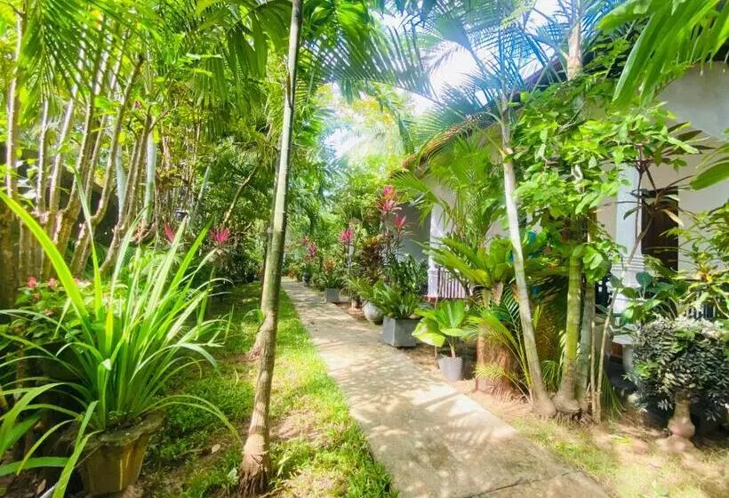 ペンション Priyavimana Resort