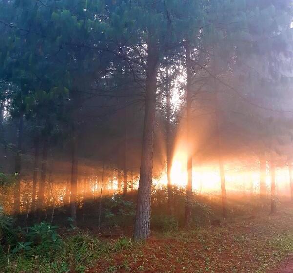 בית מלון כפרי Sanfern Downs Cottage