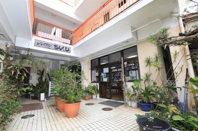 بنسيون Joyful Chingushi