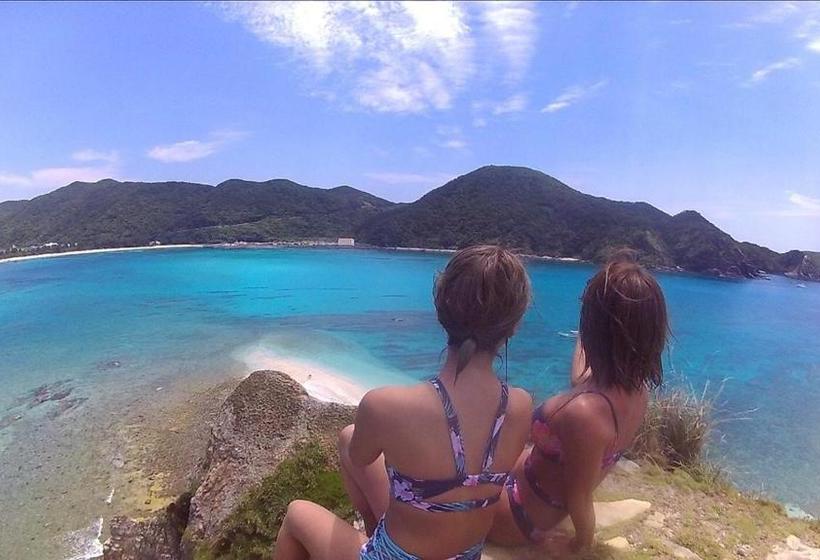 بنسيون Joyful Chingushi