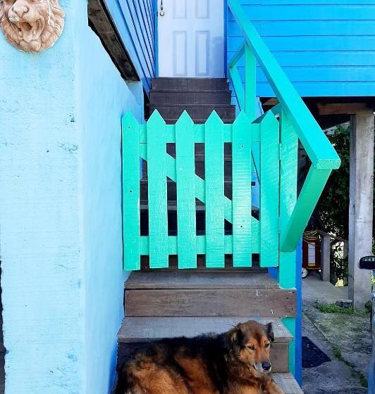 پانسیون Onelovecottagetobago Upstairs Apartment