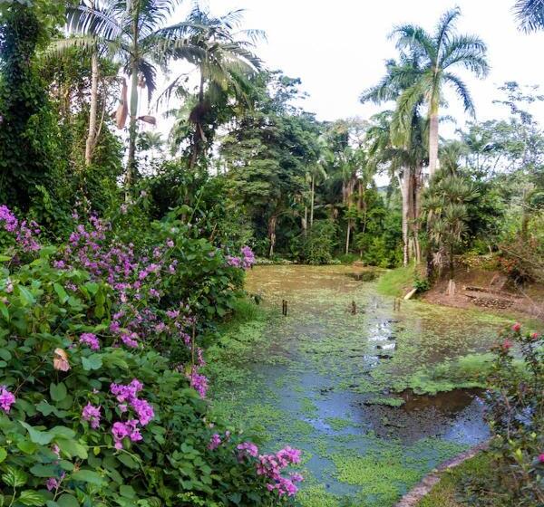 פנסיון Pousada Casa De Pedra