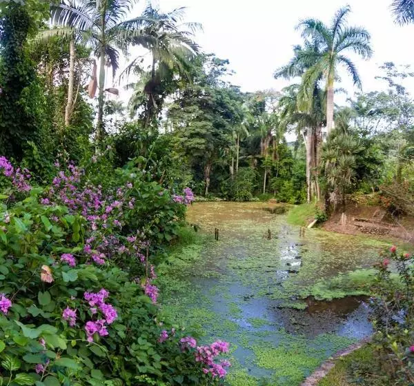 Majatalo Pousada Casa De Pedra