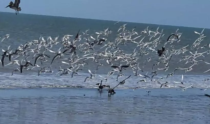 ユースホステル El Arca De Pachue