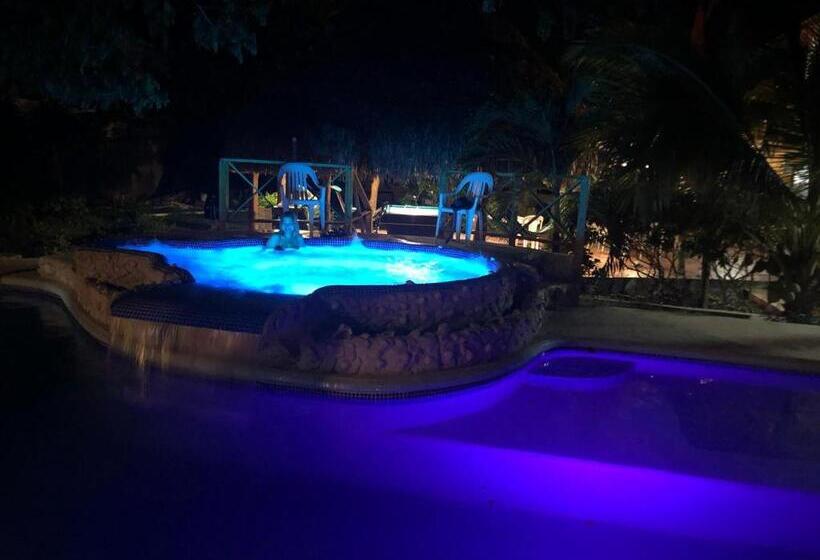 旅馆 El Arca De Pachue