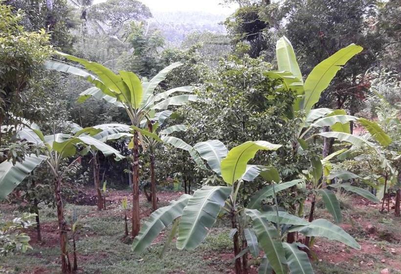 فندق Zee's Garden