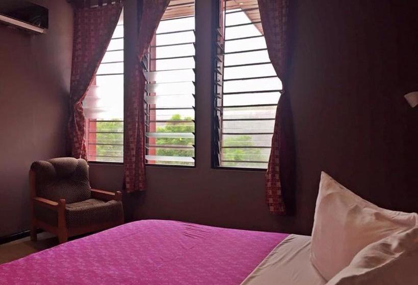 펜션 Kokodo Guest House