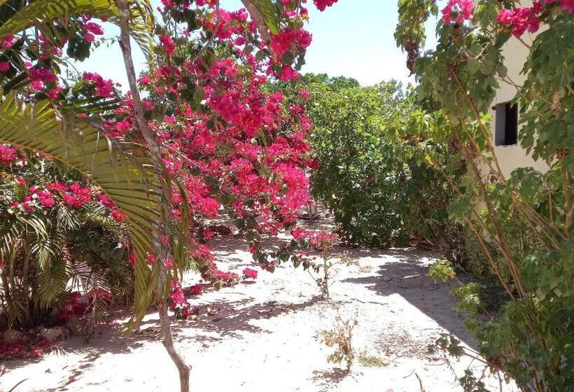 ペンション Pousada Da Bell