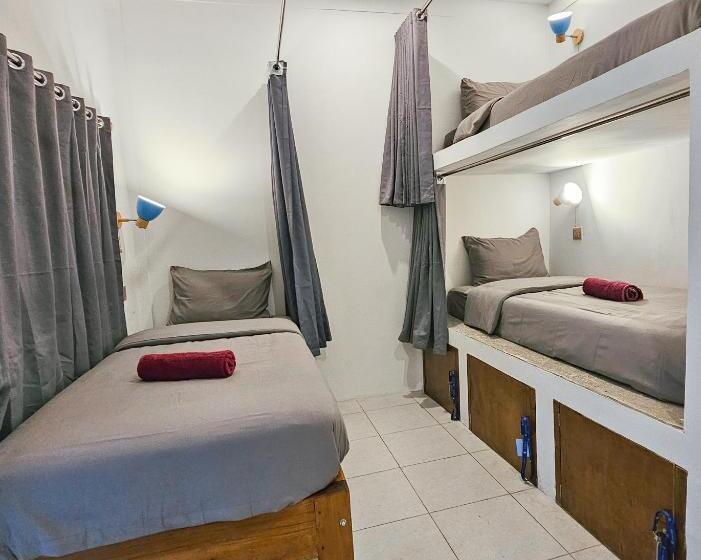 膳宿费 Tipsea Turtle Rooftop Hostel Gili Trawangan