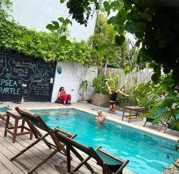 膳宿费 Tipsea Turtle Rooftop Hostel Gili Trawangan