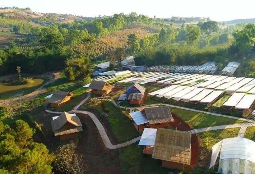 پانسیون Uncle Tom S Cabin At Khaokho